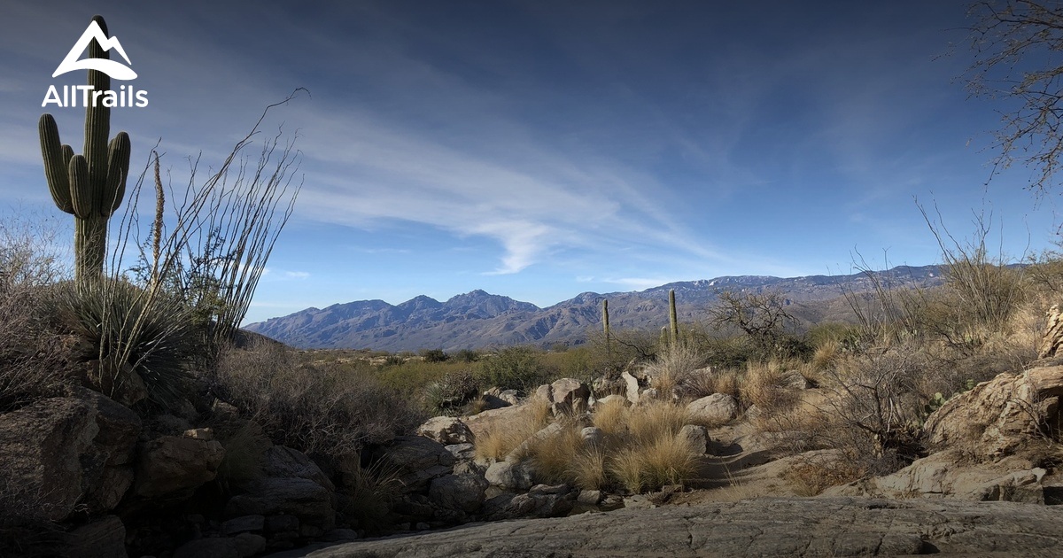 10 Best Hikes and Trails in Saguaro National Park