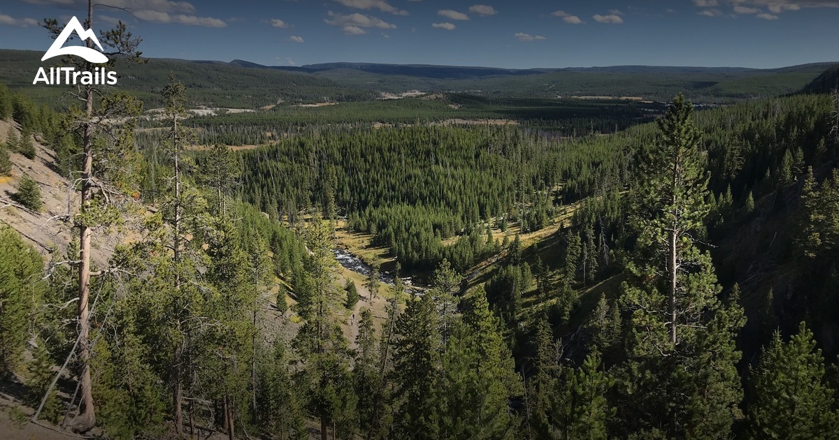 Best Trails in Yellowstone National Park AllTrails