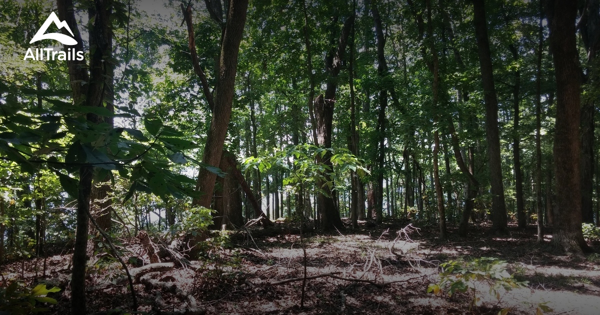 Best Trails In Joe Wheeler State Park Alabama Alltrails