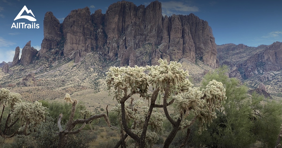 are dogs allowed at lost dutchman state park