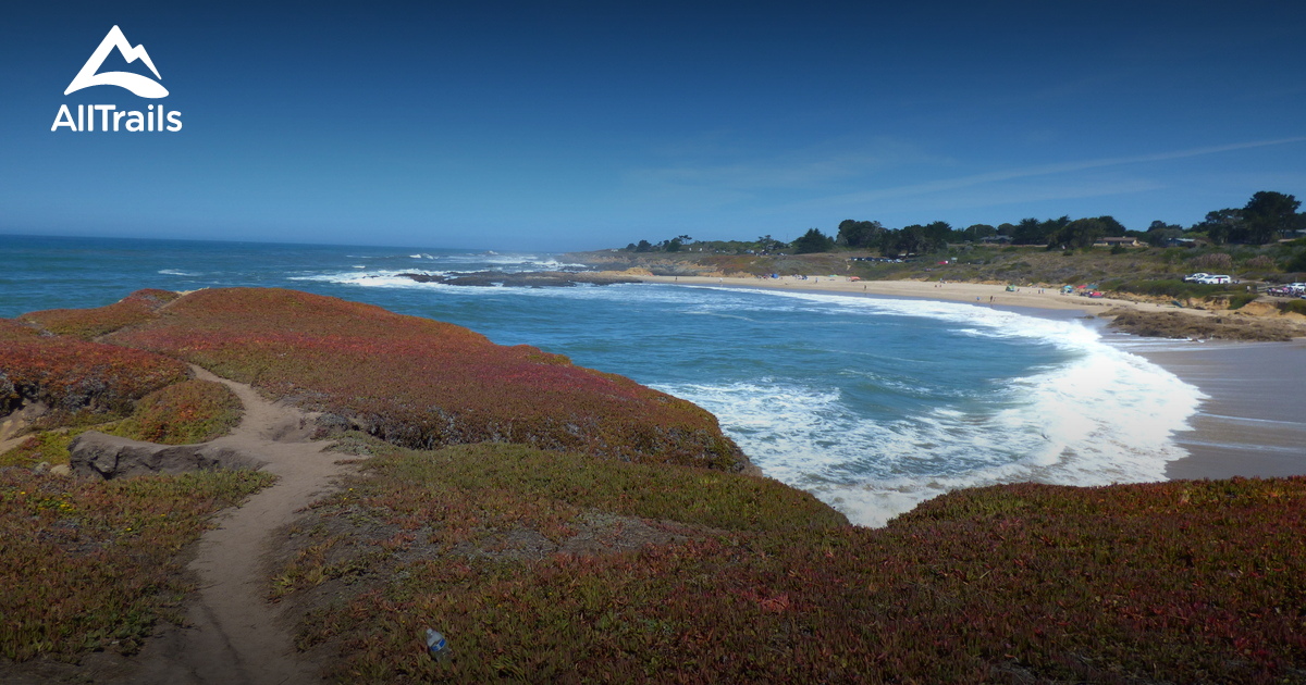 Best Hikes and Trails in Bean Hollow State Beach AllTrails