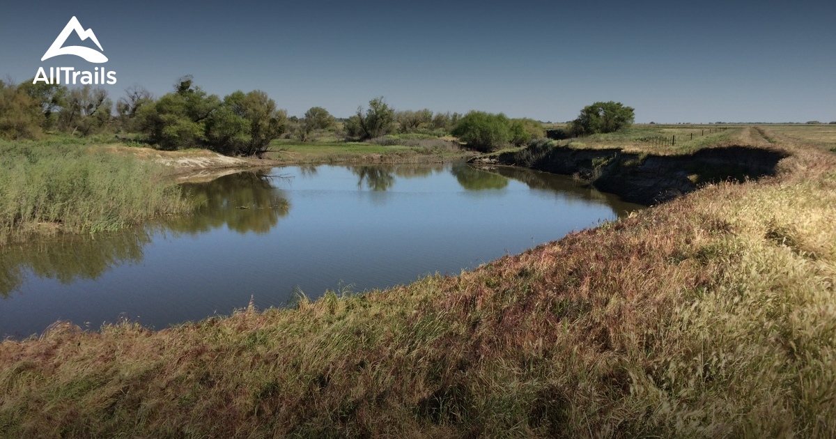 Los mejores senderos y rutas en Great Valley Grasslands State Park
