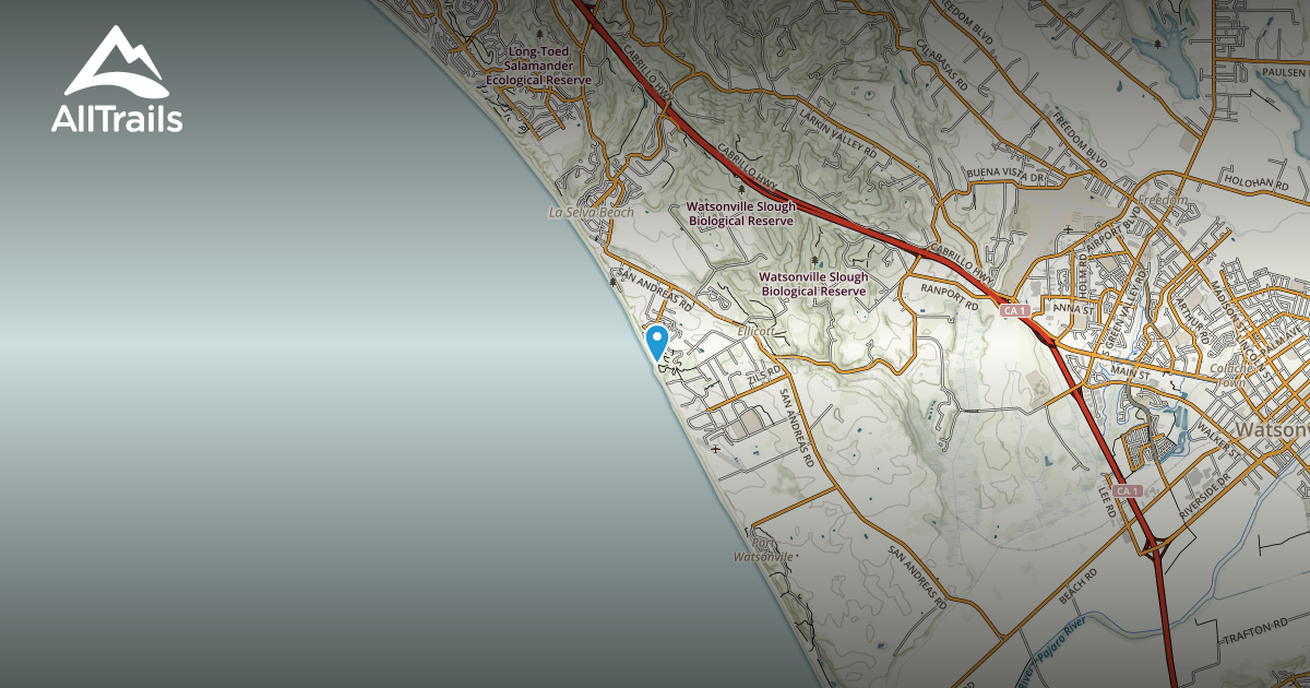 Best Trails in Manresa State Beach California Photos & Reviews AllTrails
