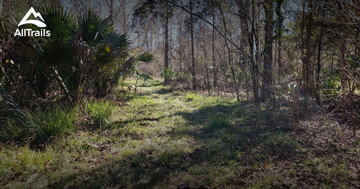 Best Hikes and Trails in De Leon Springs State Park AllTrails