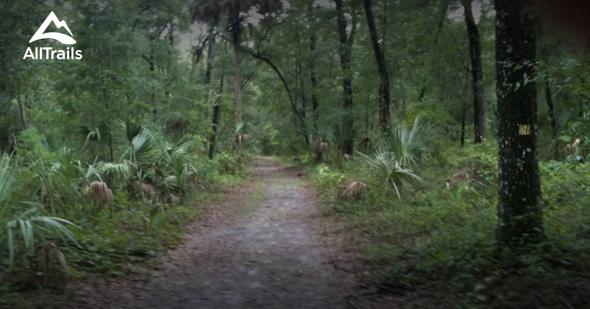 Best trails in Dunns Creek State Park, Florida AllTrails