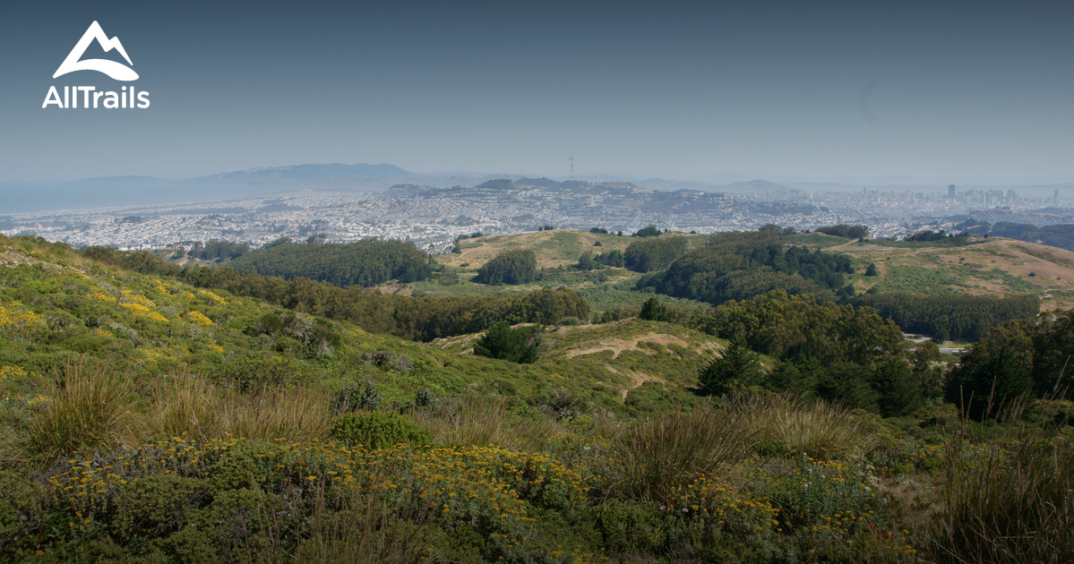 Escape the City, Conquer the Summit: San Bruno Mountain State Park Awaits!