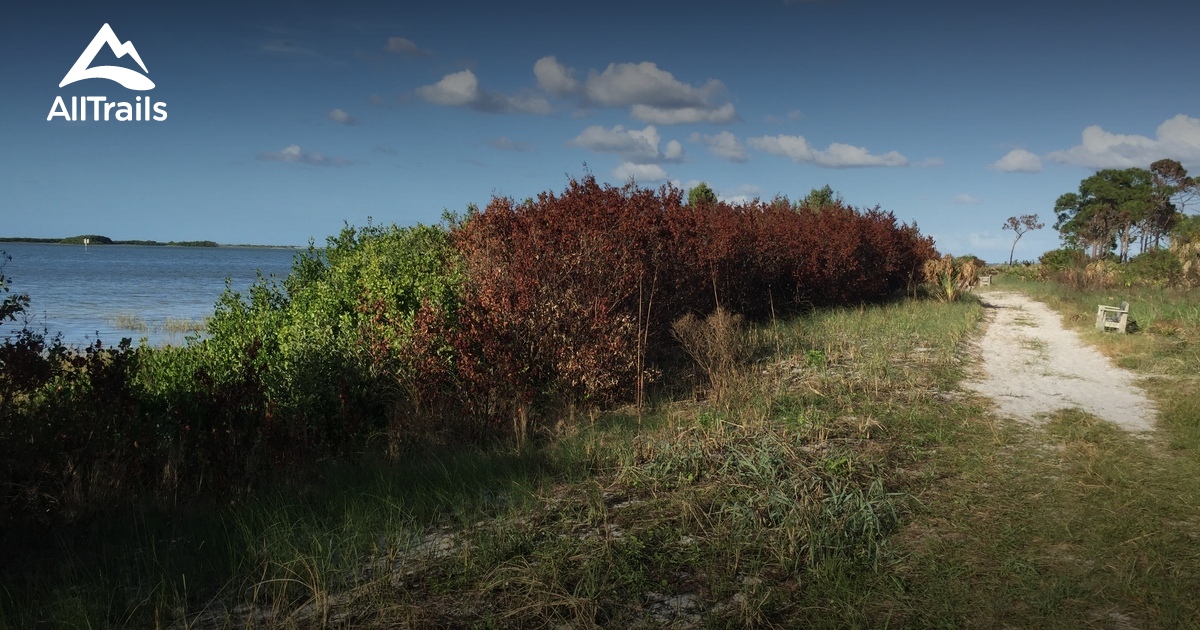 Best Fishing Trails in Honeymoon Island State Park AllTrails