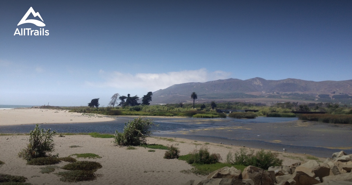 Sun, Sand, and Surf: Your Guide to San Buenaventura State Beach