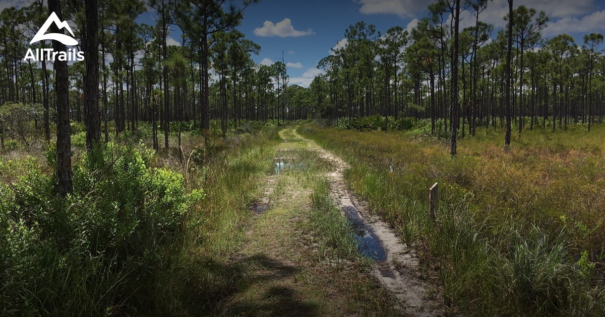 Best Trails In Jonathan Dickinson State Park Florida Alltrails