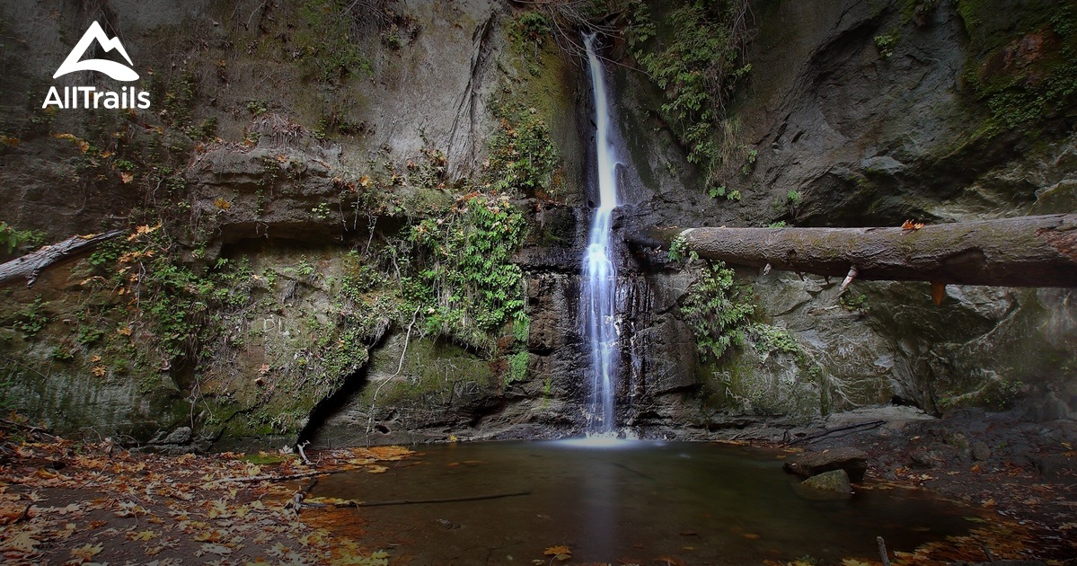 Best Waterfall Trails in The Forest of Nisene Marks State Park