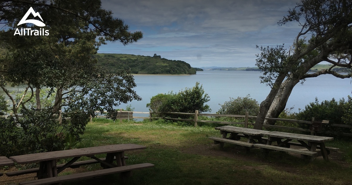 Best Trails in Tomales Bay State Park