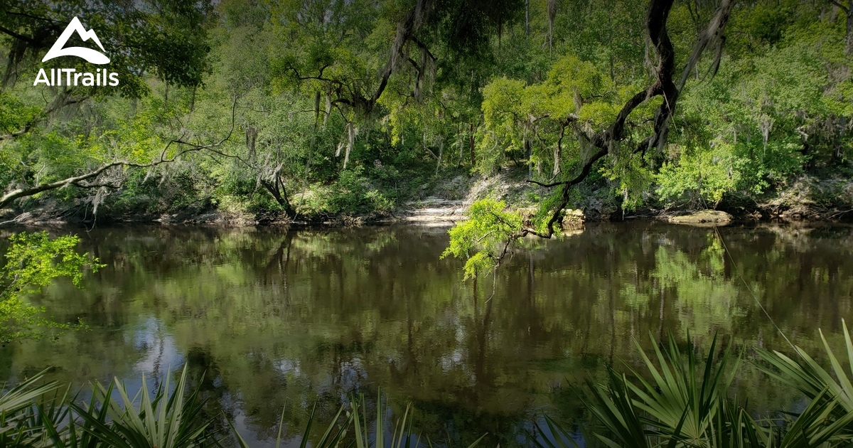 Best Trails In Suwannee River State Park Florida Alltrails