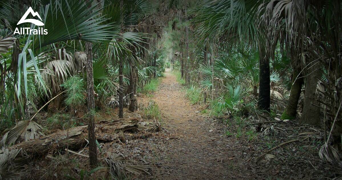 Wekiwa Springs Wet to Dry Trail – Florida Hikes