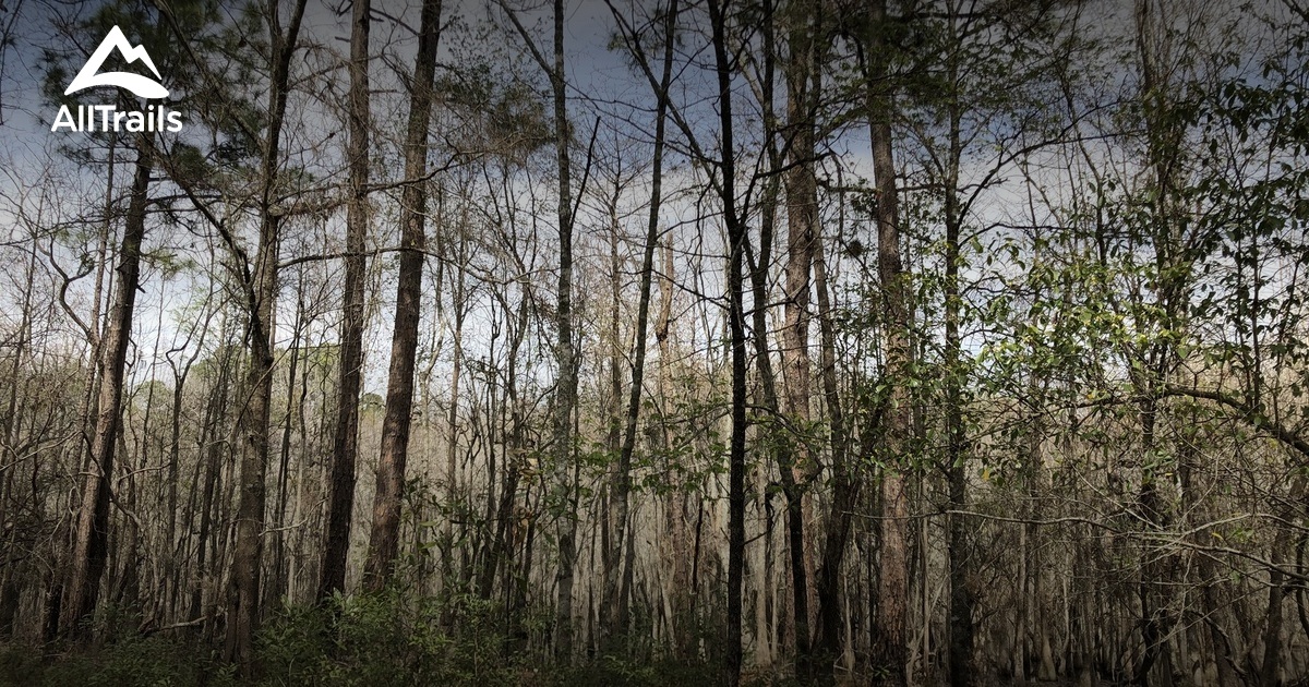 Best hikes and trails in L. Smith State Park AllTrails