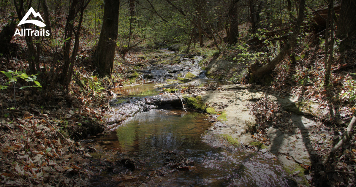 Escape to Tranquility: Hard Labor Creek State Park, Your Georgia Oasis