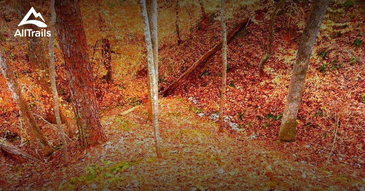 Best Trails In Mistletoe State Park Georgia Alltrails