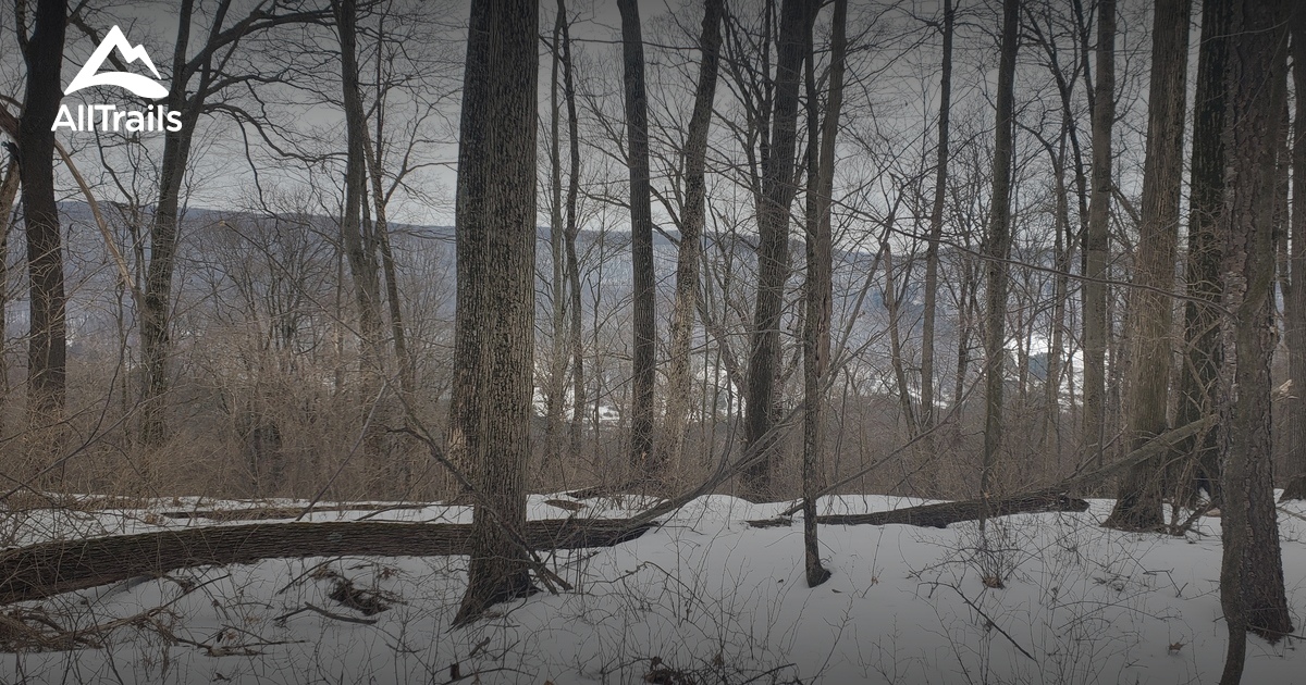 Best Trails In Allegany State Park New York Alltrails