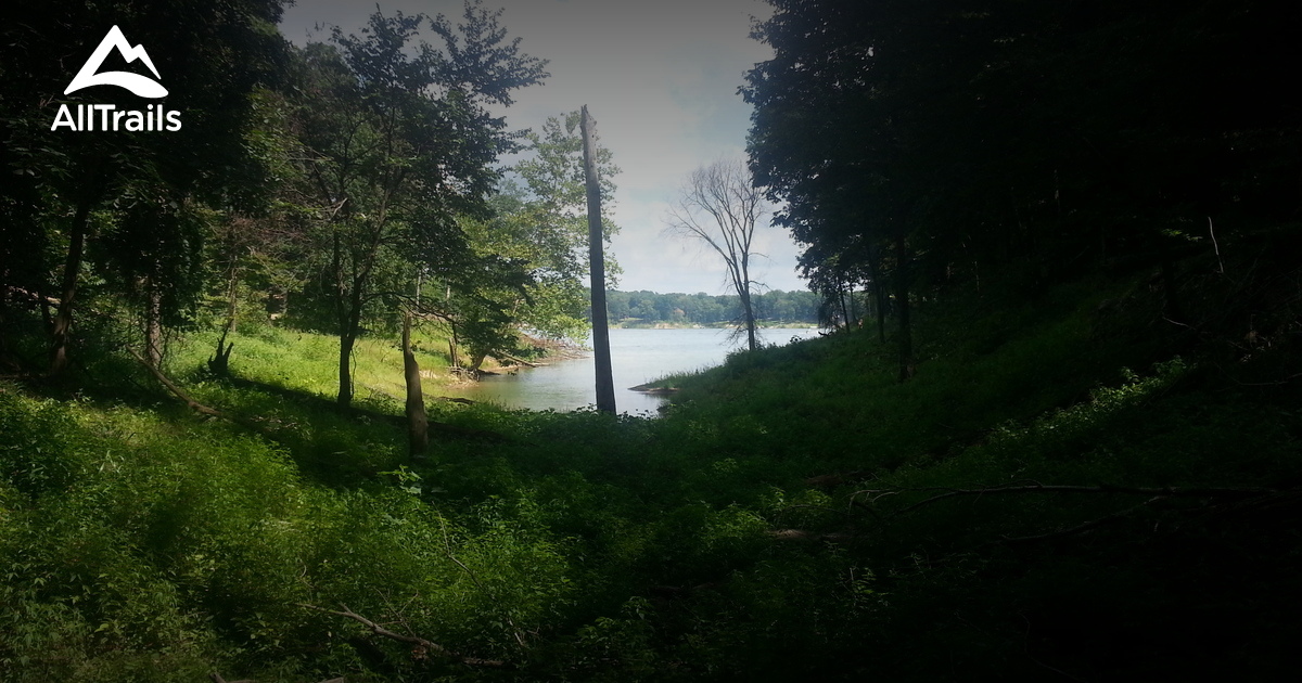 Best Hikes and Trails in Cecil M. Harden Lake (Raccoon SRA) AllTrails