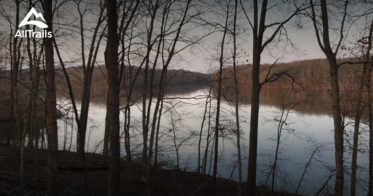 Best Trails In Stephen A Forbes Illinois Alltrails