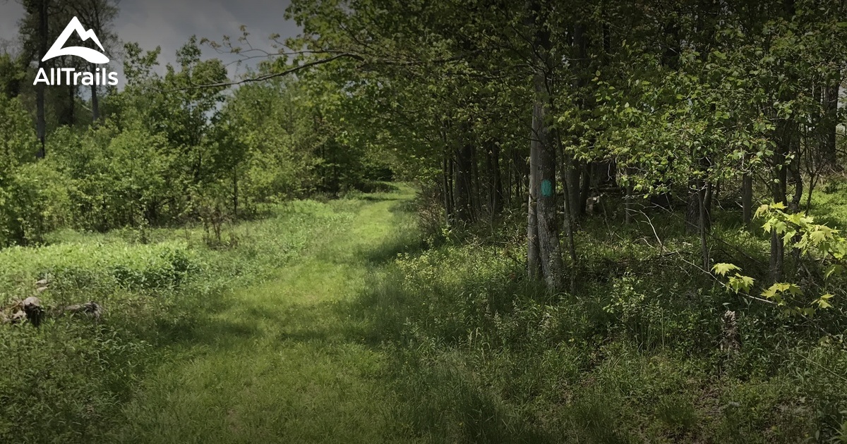 Best Trails In Herrington Manor State Park Maryland Alltrails