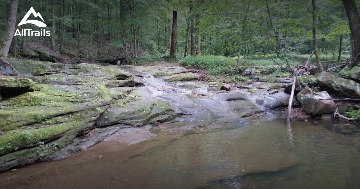 Escape to Paradise: Kentucky Lake Malone State Park, Your Gateway to Adventure