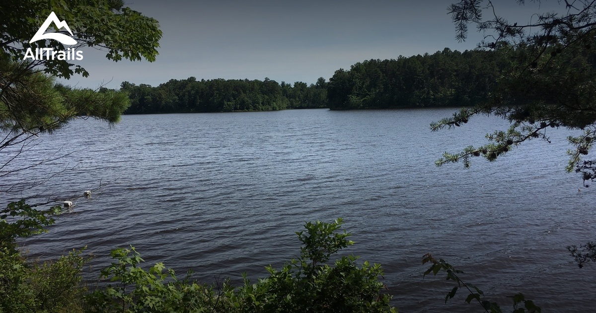 Best hikes and trails in St. Mary's River State Park AllTrails