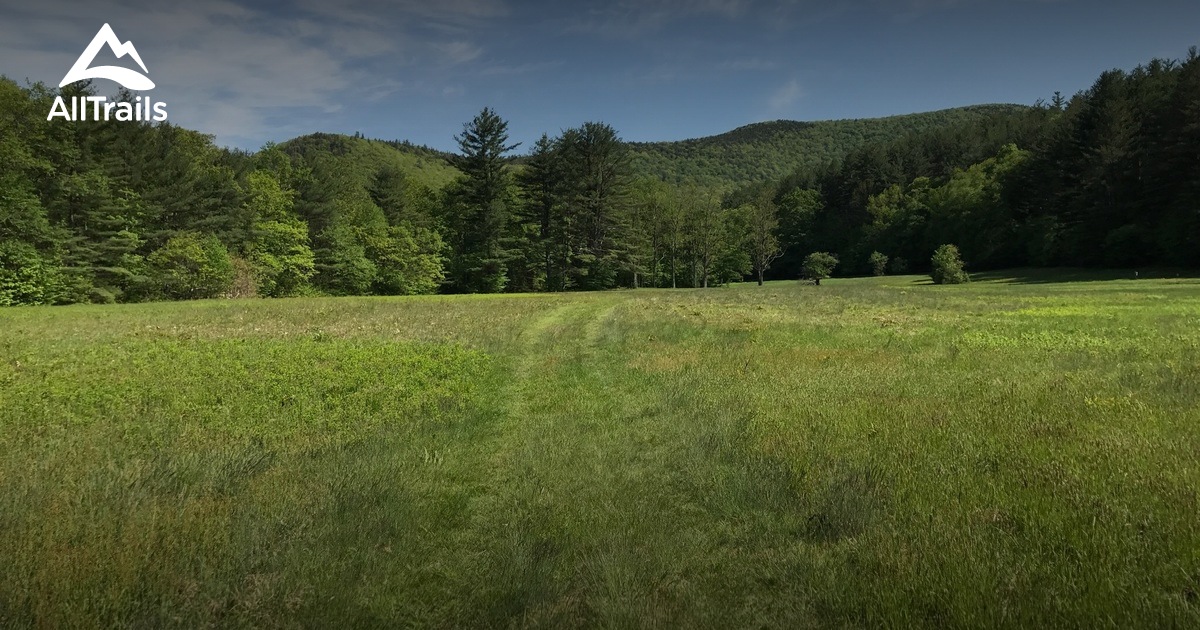 Escape to the Wild: Exploring the Enchanting Mohawk Trail State Forest