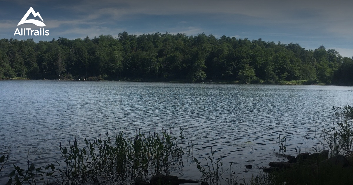 Best Trails in October Mountain State Forest Massachusetts AllTrails