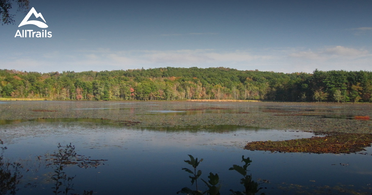 Escape to the Enchanted Forest: Your Guide to Rutland State Park, Massachusetts