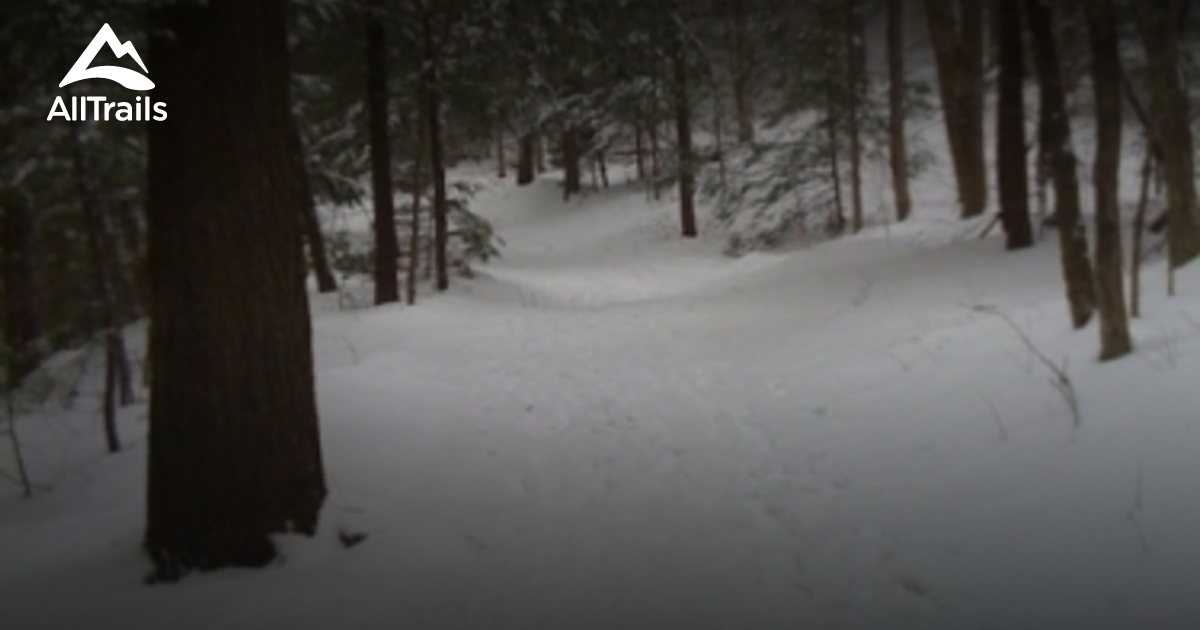 Best Trails in Tolland State Forest Massachusetts AllTrails