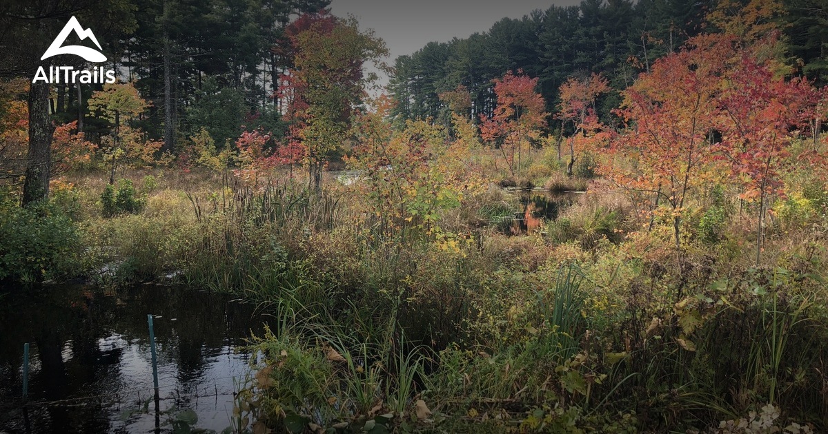 Escape to Nature's Embrace: Your Guide to Massachusetts Wells State Park