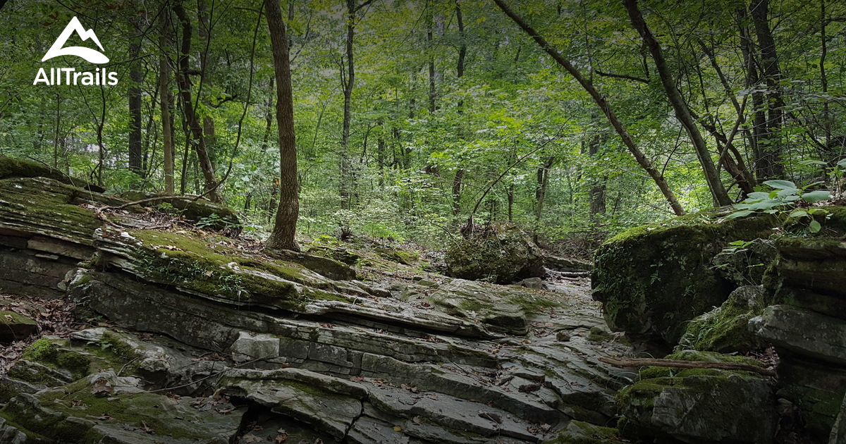 Ha Ha Tonka State Park