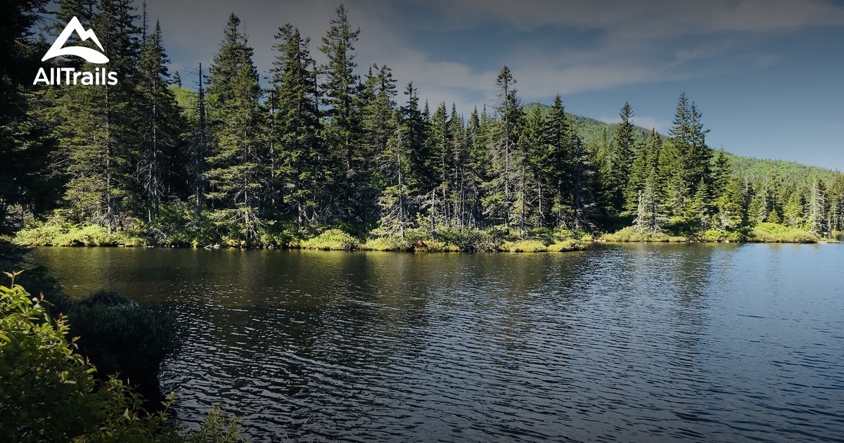 Best Trails in Jericho Mountain State Park New Hampshire