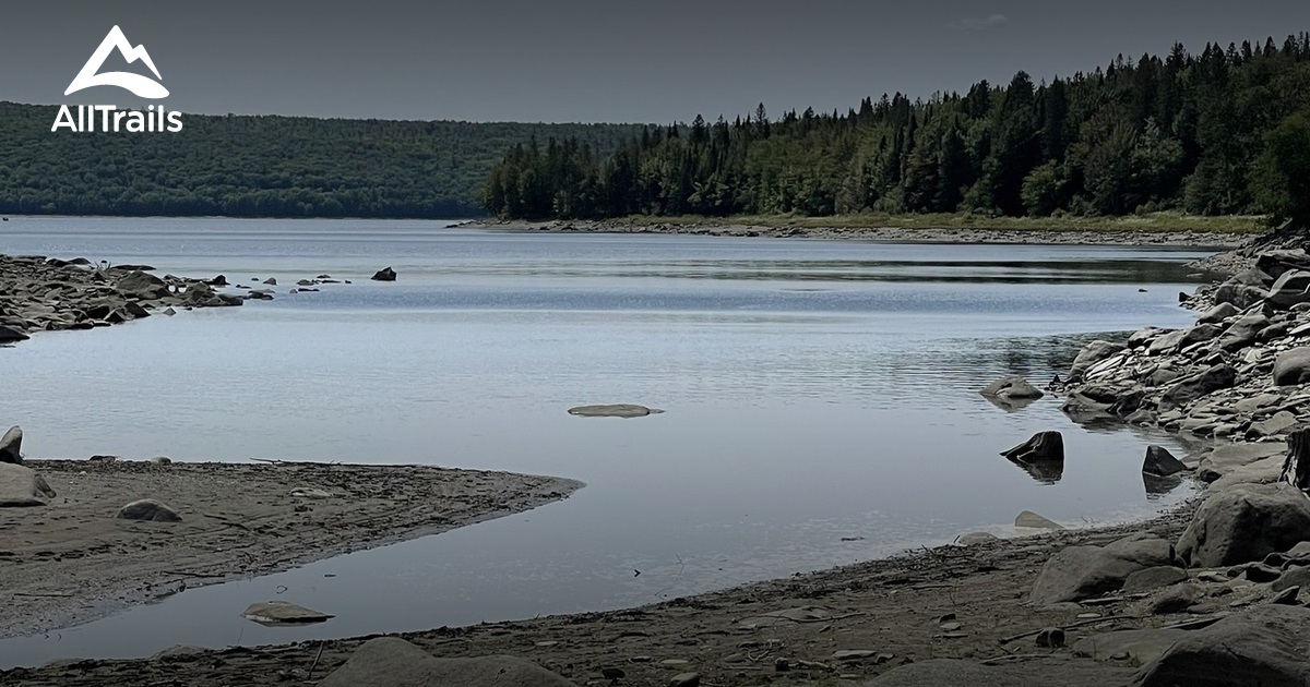 Best Hikes and Trails in Lake Francis State Park AllTrails