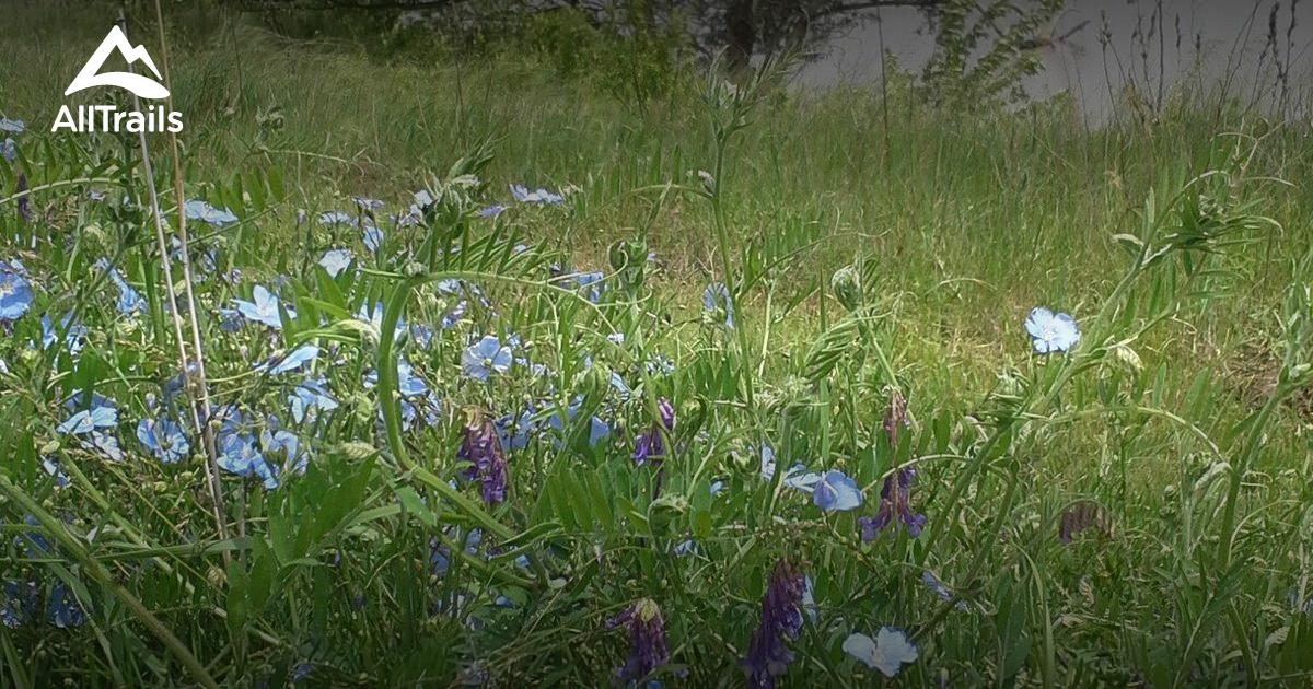 Best Hikes and Trails in Willow Creek State Recreation Area AllTrails