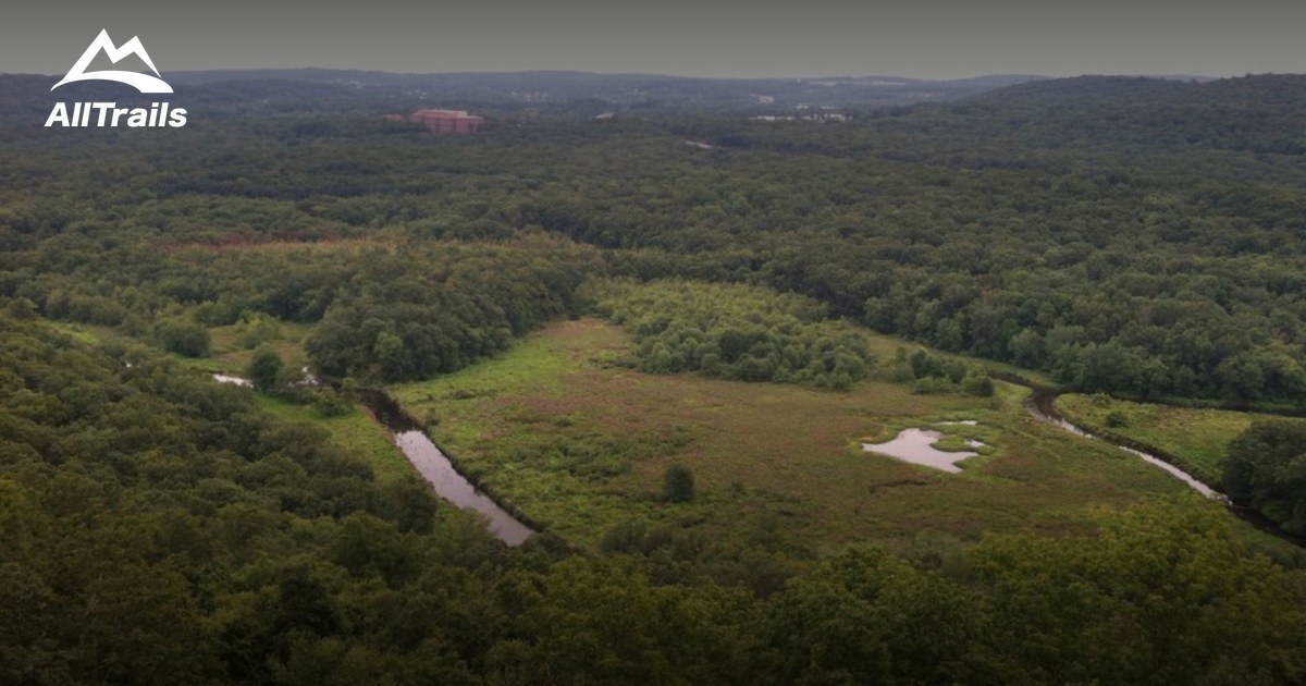 Best Trails in Allamuchy Mountain State Park