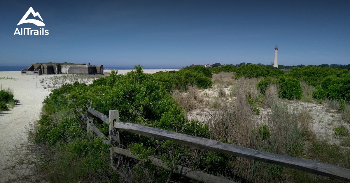 Southern Phone Reviews >> Best Trails in Cape May Point State Park - New Jersey ... Southern Phone Reviews >> Best Trails in Cape May Point State Park - New Jersey ...