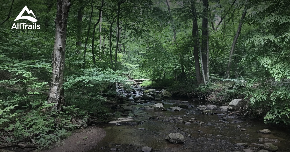 Best Hikes and Trails in Hacklebarney State Park AllTrails