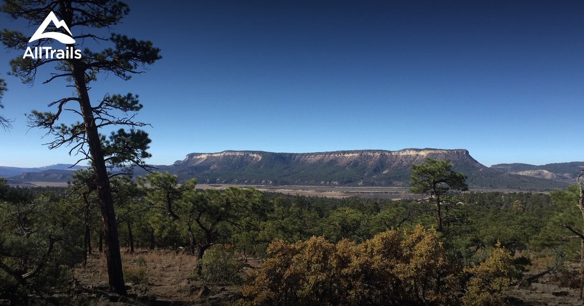 Best Trails in El Vado Lake State Park New Mexico AllTrails
