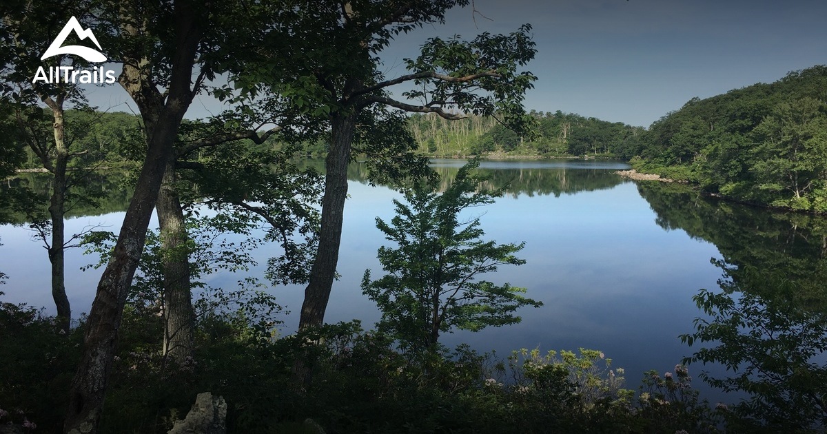 Escape to the Wild: Unveiling the Magic of Worthington State Forest, NJ