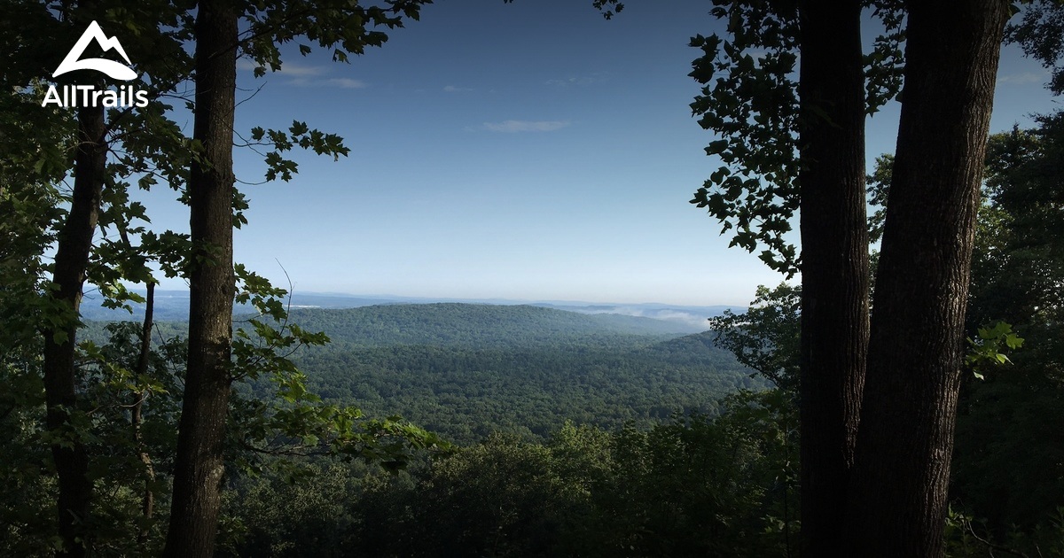 Best Trails in Morrow Mountain State Park