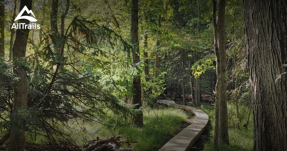 Best Hikes and Trails in Blauvelt State Park AllTrails