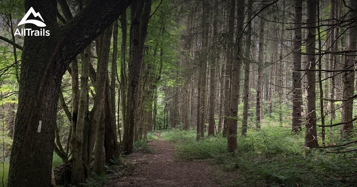 Best Hikes And Trails In Bowman Lake State Park AllTrails