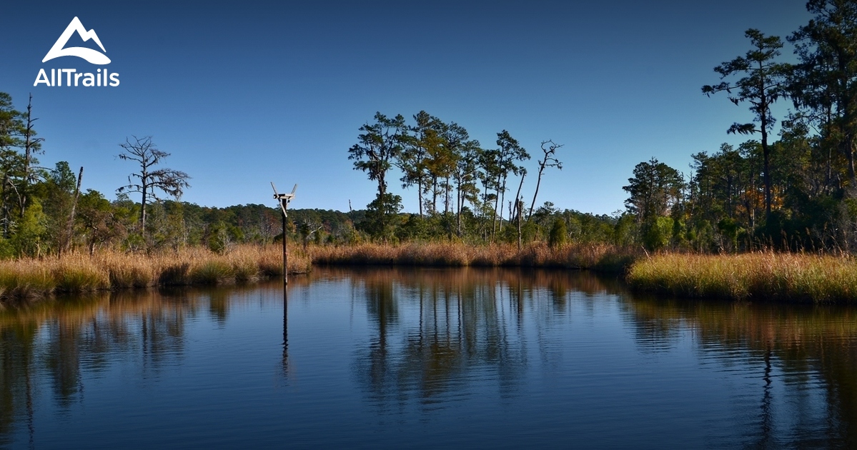 Best Trails In Goose Creek State Park North Carolina Alltrails