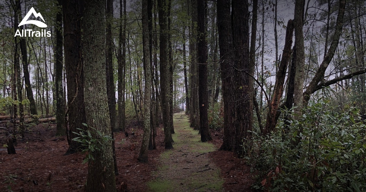 Best Trails In Singletary Lake State Park North Carolina Alltrails