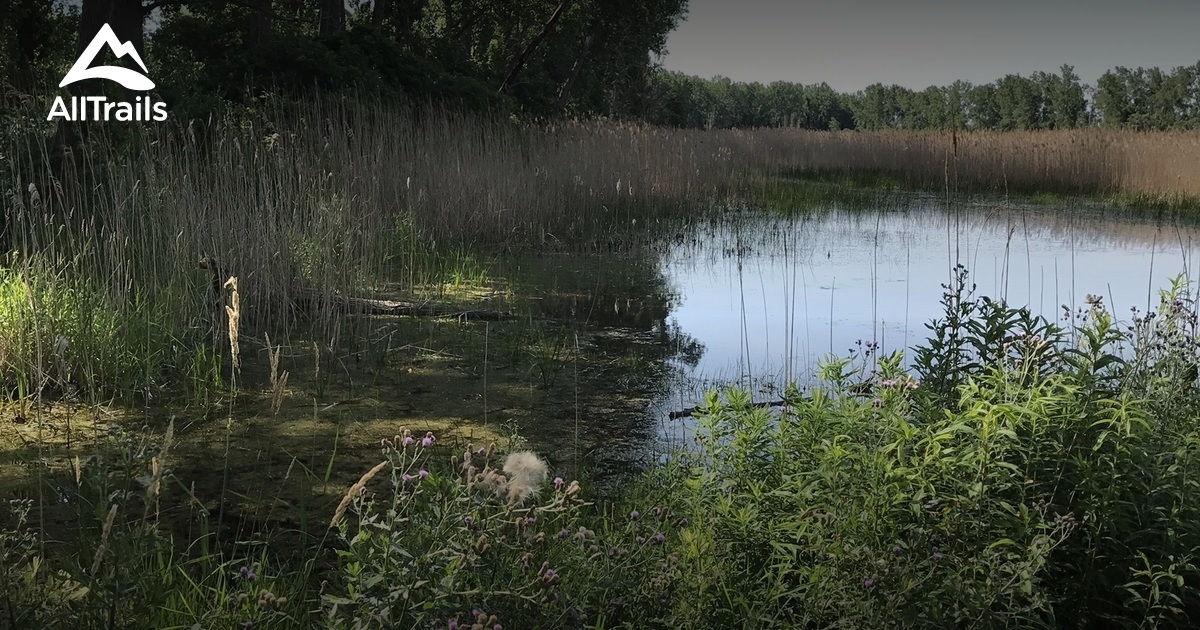 East Harbor State Park Trail Map Best 10 Trails In East Harbor State Park | Alltrails