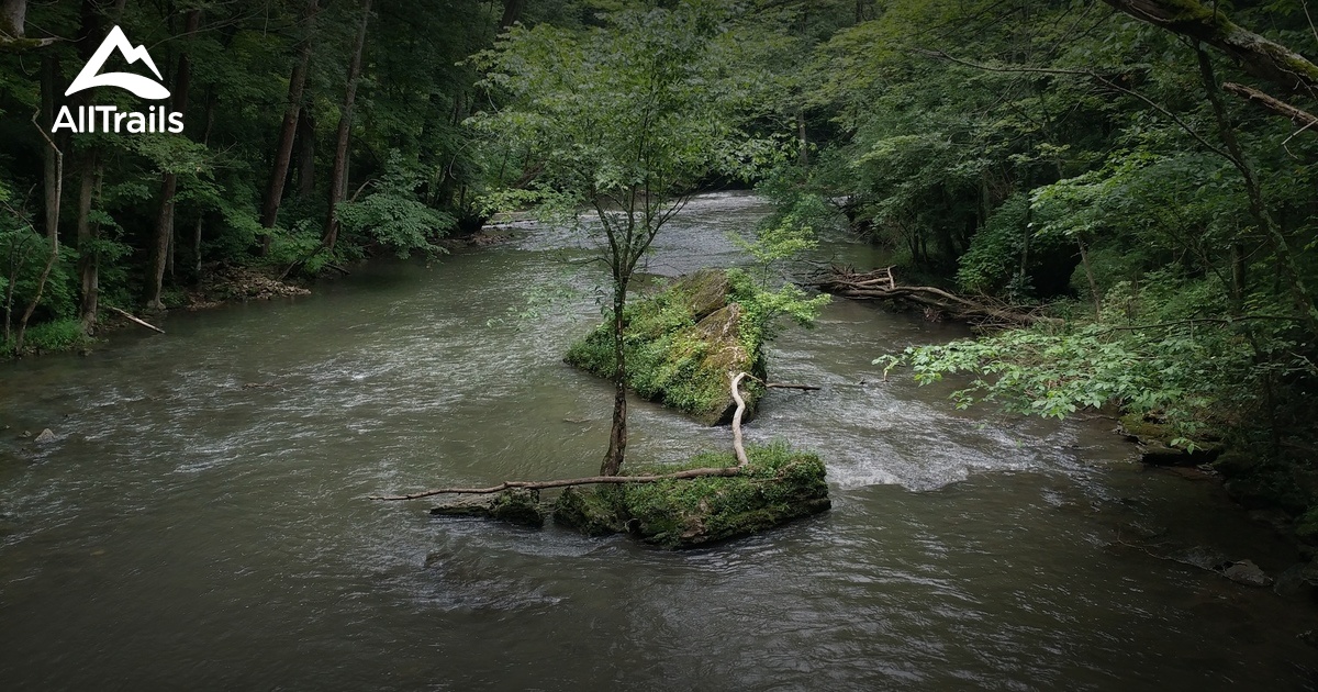 Escape to Enchantment: Unveiling the Beauty of John Bryan State Park