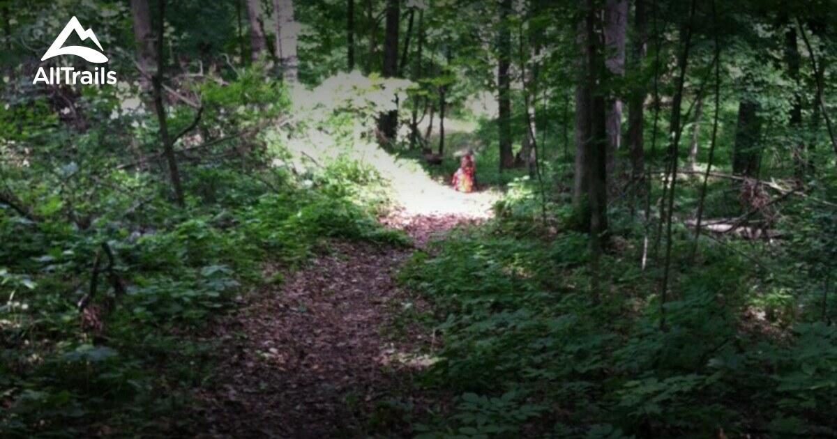 Best hikes and trails in Lake Alma State Park AllTrails