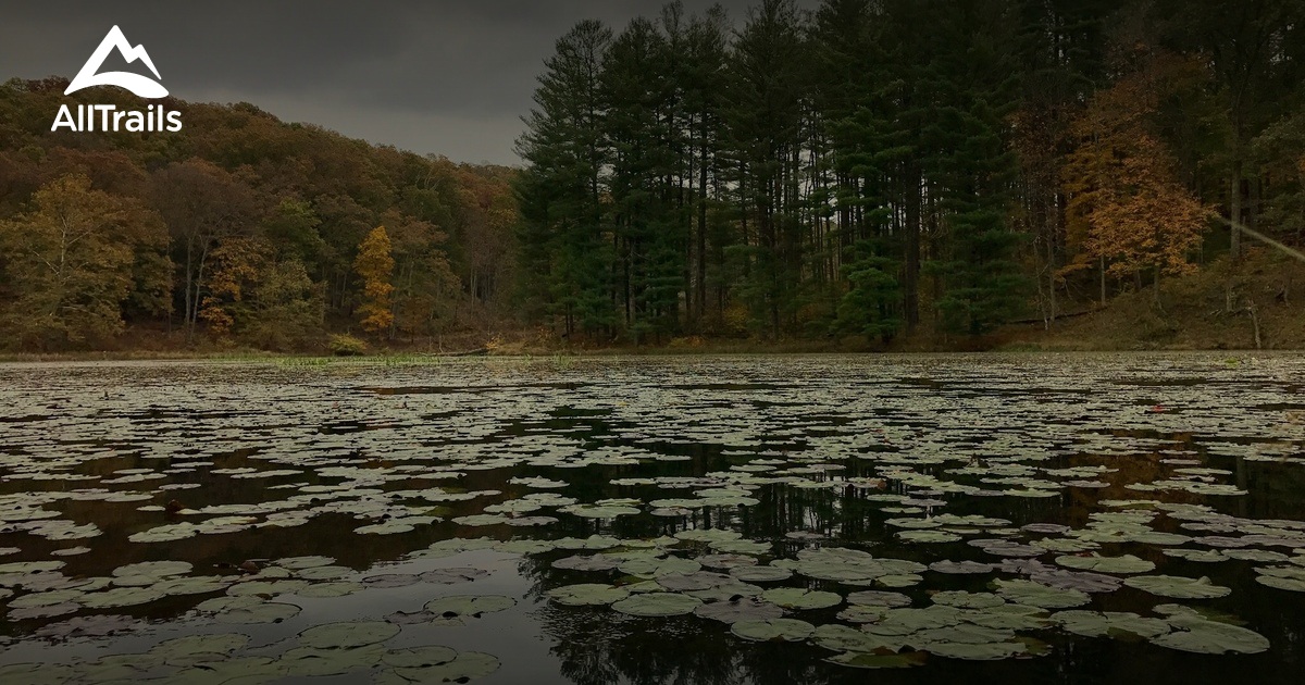 10 Best Hikes and Trails in Lake Hope State Park AllTrails