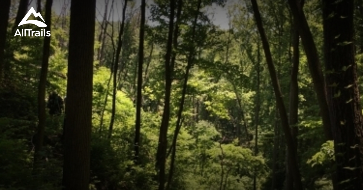 Best Trails in Tar Hollow State Park Ohio AllTrails